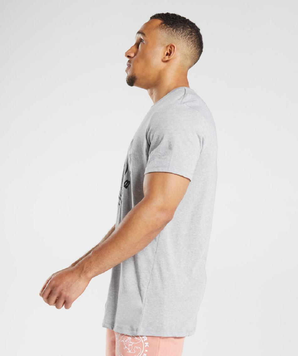 T Shirts Gymshark Legacy Hombre Gris Claro | CO 3407FDN